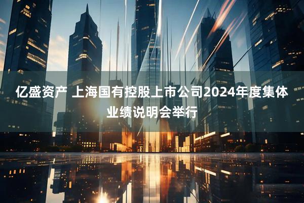 亿盛资产 上海国有控股上市公司2024年度集体业绩说明会举行
