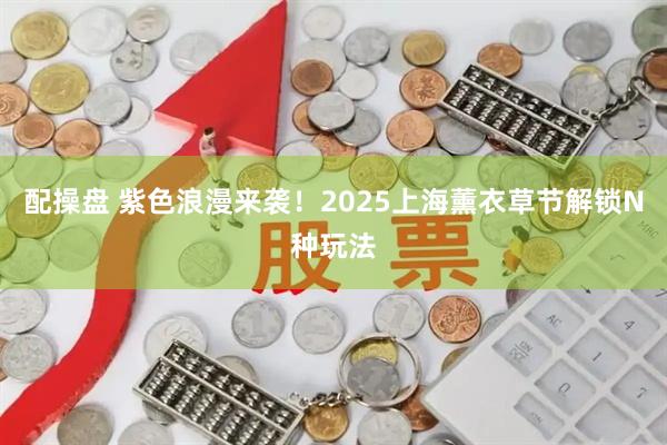 配操盘 紫色浪漫来袭！2025上海薰衣草节解锁N种玩法