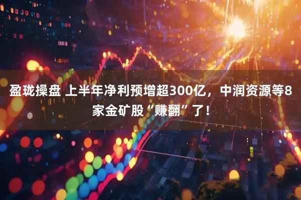 盈珑操盘 上半年净利预增超300亿,中润资源等8家金矿股“赚翻”了!