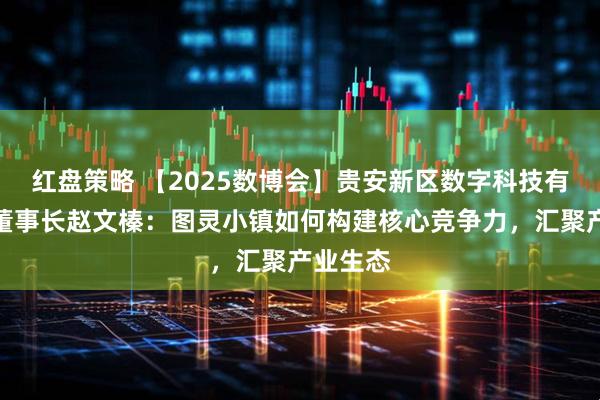 红盘策略 【2025数博会】贵安新区数字科技有限公司董事长赵文榛：图灵小镇如何构建核心竞争力，汇聚产业生态