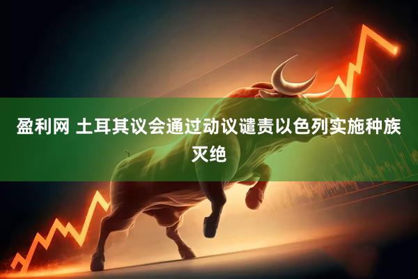 盈利网 土耳其议会通过动议谴责以色列实施种族灭绝