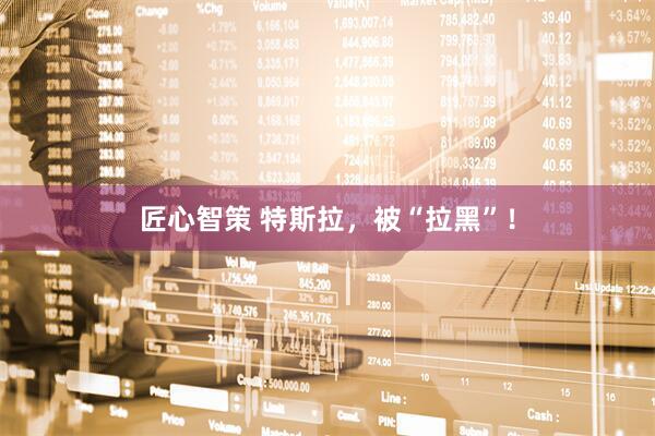匠心智策 特斯拉，被“拉黑”！
