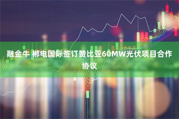 融金牛 郴电国际签订赞比亚60MW光伏项目合作协议
