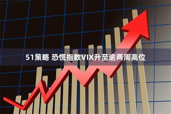 51策略 恐慌指数VIX升至逾两周高位